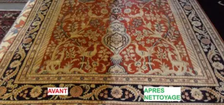 nettoyage traditionnel des tapis 91